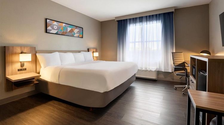 La Quinta Inn & Suites by Wyndham Room