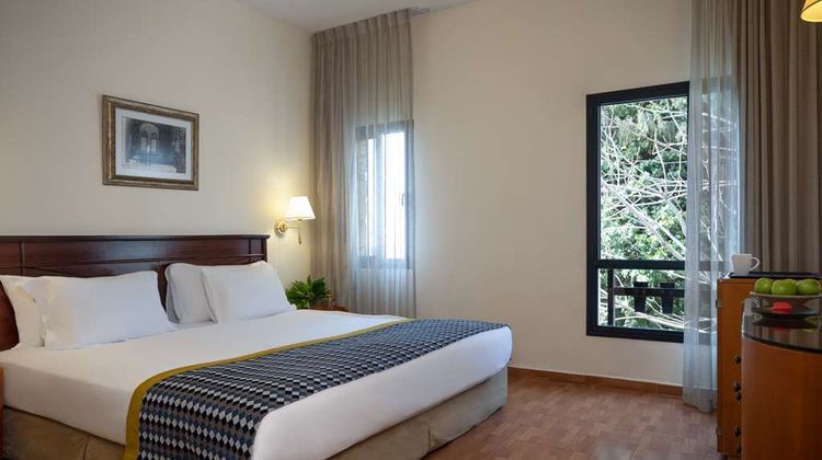 Ruth Zefat Room