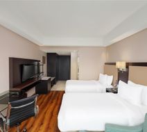 Radisson Hotel Agra Room