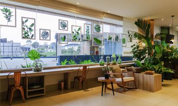 Ibis Styles Curitiba Aeroporto