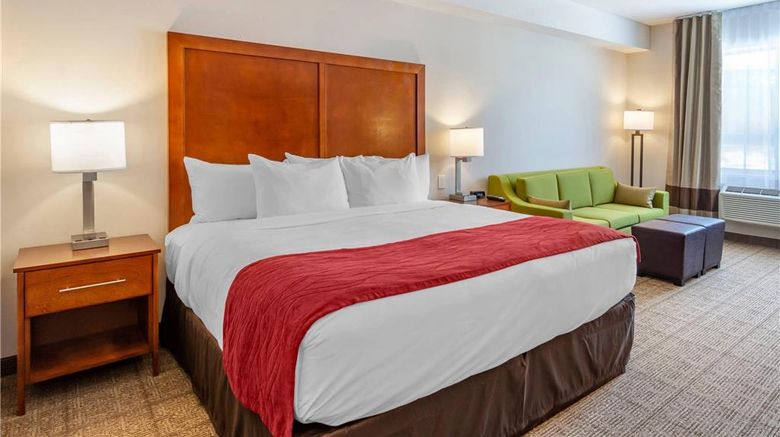 <b>Comfort Inn & Suites Valemount Room</b>. Images powered by <a href="https://iceportal.shijigroup.com/" title="IcePortal" target="_blank">IcePortal</a>.