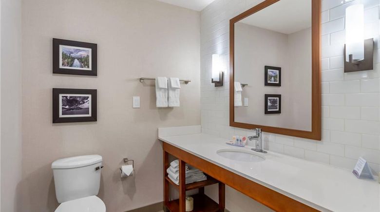<b>Comfort Inn & Suites Valemount Suite</b>. Images powered by <a href="https://iceportal.shijigroup.com/" title="IcePortal" target="_blank">IcePortal</a>.