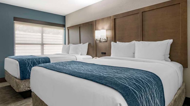 <b>Comfort Inn and Suites Downtown-Port of Miami Room</b>. Images powered by <a href="https://iceportal.shijigroup.com/" title="IcePortal" target="_blank">IcePortal</a>.