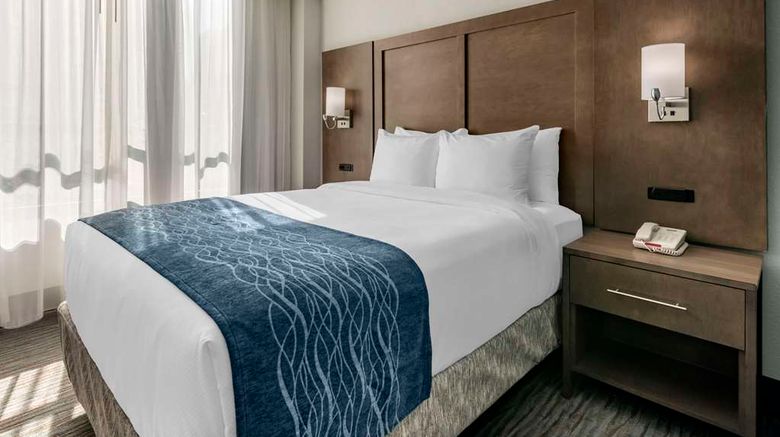 <b>Comfort Inn and Suites Downtown-Port of Miami Room</b>. Images powered by <a href="https://iceportal.shijigroup.com/" title="IcePortal" target="_blank">IcePortal</a>.