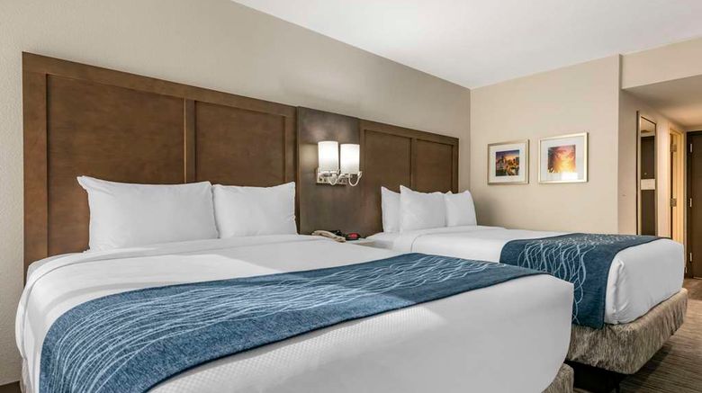 <b>Comfort Inn and Suites Downtown-Port of Miami Room</b>. Images powered by <a href="https://iceportal.shijigroup.com/" title="IcePortal" target="_blank">IcePortal</a>.