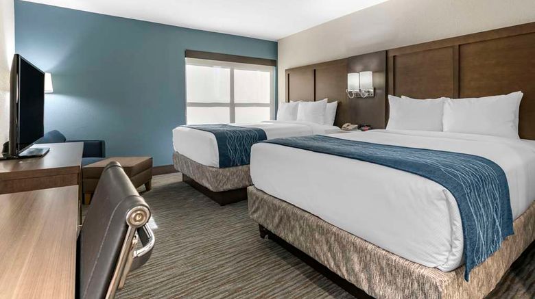 <b>Comfort Inn and Suites Downtown-Port of Miami Room</b>. Images powered by <a href="https://iceportal.shijigroup.com/" title="IcePortal" target="_blank">IcePortal</a>.
