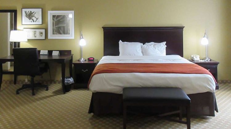 Quality Inn & Suites Alexandria Room