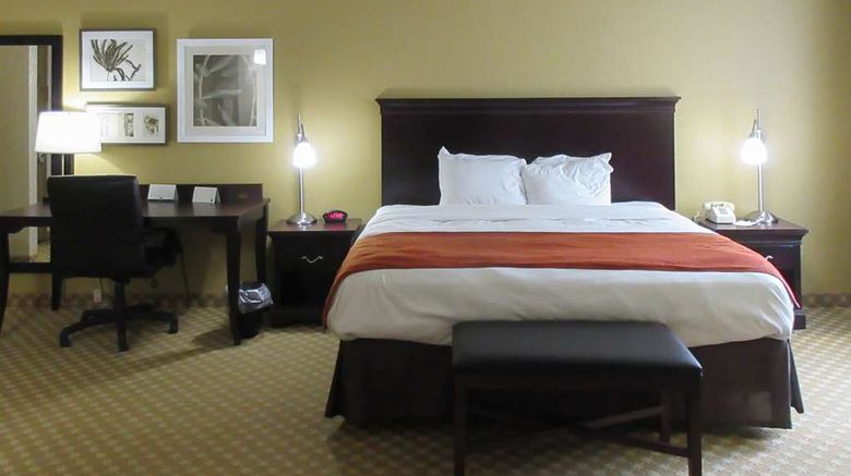 <b>Quality Inn & Suites Alexandria Room</b>. Images powered by <a href="https://iceportal.shijigroup.com/" title="IcePortal" target="_blank">IcePortal</a>.
