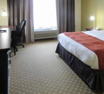 Quality Inn & Suites Alexandria Room