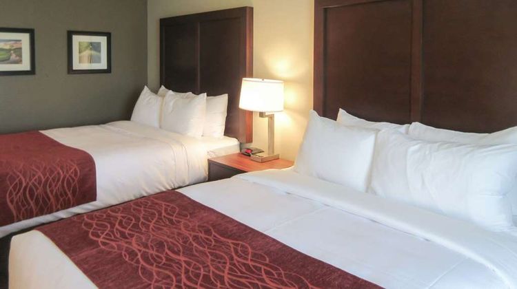 Comfort Inn And Suites Gap Amish Country Room
