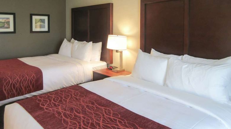 <b>Comfort Inn And Suites Gap Amish Country Room</b>. Images powered by <a href="https://iceportal.shijigroup.com/" title="IcePortal" target="_blank">IcePortal</a>.