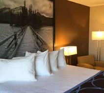 Super 8 by Wyndham Spruce Grove Room