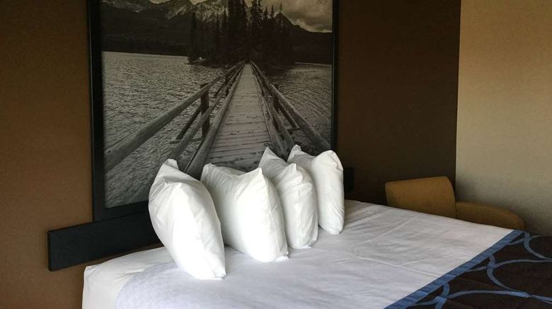 <b>Super 8 by Wyndham Spruce Grove Room</b>. Images powered by <a href="https://iceportal.shijigroup.com/" title="IcePortal" target="_blank">IcePortal</a>.