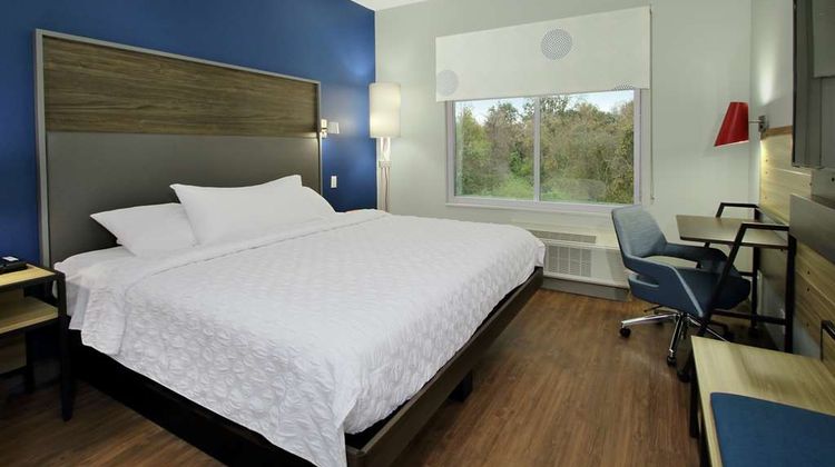Tru by Hilton Mobile Room