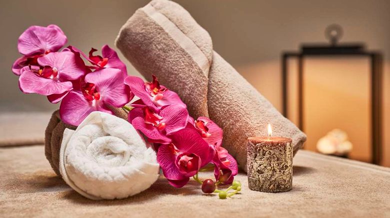 <b>DoubleTree by Hilton Trieste Spa</b>. Images powered by <a href="https://iceportal.shijigroup.com/" title="IcePortal" target="_blank">IcePortal</a>.
