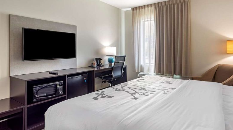 <b>Sleep Inn Room</b>. Images powered by <a href="https://iceportal.shijigroup.com/" title="IcePortal" target="_blank">IcePortal</a>.