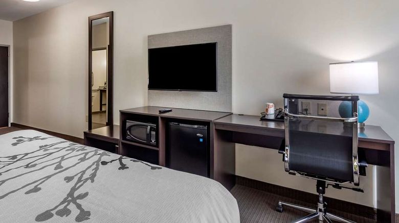 <b>Sleep Inn Room</b>. Images powered by <a href="https://iceportal.shijigroup.com/" title="IcePortal" target="_blank">IcePortal</a>.