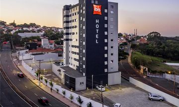Ibis Americana