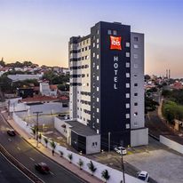 Ibis Americana