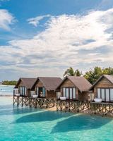 Ozen Life Maadhoo