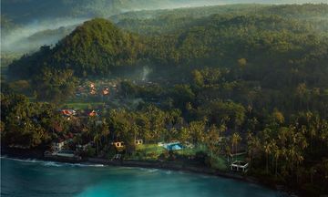 Alila Manggis