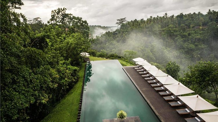 Alila Ubud Pool
