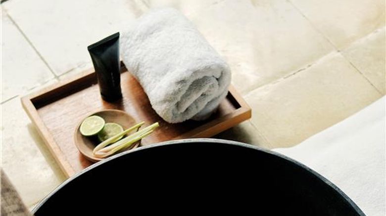 <b>Alila Ubud Spa</b>. Images powered by <a href="https://iceportal.shijigroup.com/" title="IcePortal" target="_blank">IcePortal</a>.