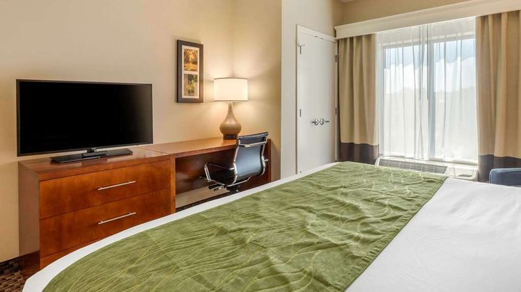 Comfort Inn and Suites Florence Center Area Room