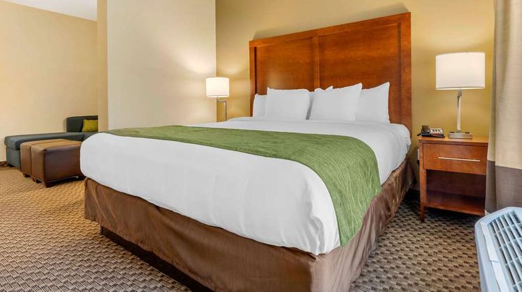 Comfort Inn and Suites Florence Center Area Suite
