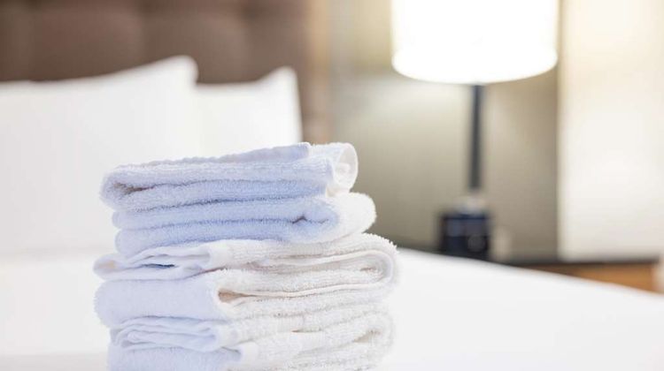 Drury Inn & Suites Hayti Caruthersville Other