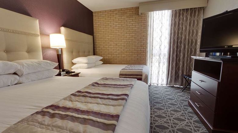 <b>Drury Inn & Suites San Antonio Northeast Room</b>. Images powered by <a href="https://iceportal.shijigroup.com/" title="IcePortal" target="_blank">IcePortal</a>.