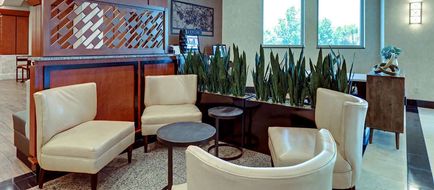 Drury Plaza Hotel Nashville Franklin Lobby