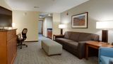 Drury Plaza Hotel St Louis/St Charles Room