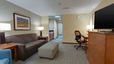 <b>Drury Inn & Suites Gainesville Room</b>. Images powered by <a href="https://iceportal.shijigroup.com/" title="IcePortal" target="_blank">IcePortal</a>.