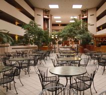Ramada by Wyndham Viscount Suites Lobby