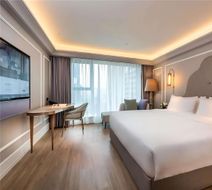Mercure Wuhan Yangluo Room