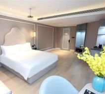 Mercure Wuhan Yangluo Room