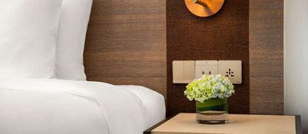 Radisson Chongqing South Hot Spring Room