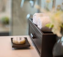 Radisson Chongqing South Hot Spring Room
