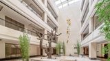 Radisson Blu Hotel Wuhan ETD Zone Other