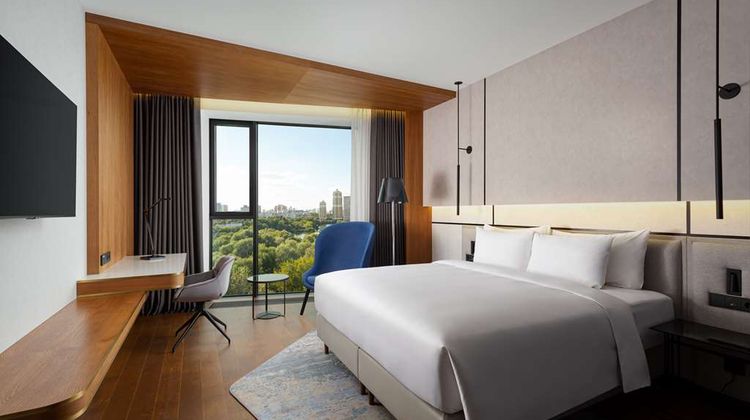 Radisson Blu Leninsky Prospect Hotel Room