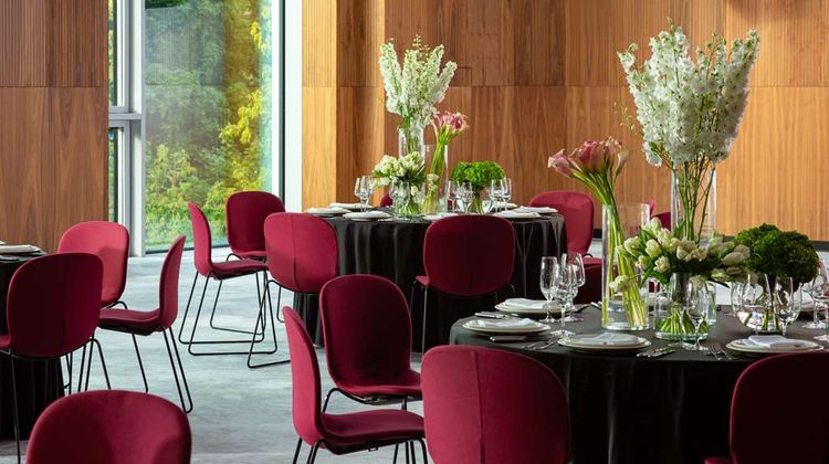 Radisson Blu Leninsky Prospect Hotel Ballroom