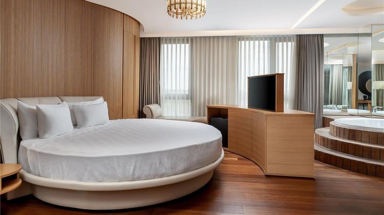 Radisson Blu Hotel, Sakarya Suite