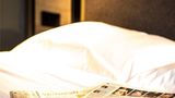 Ibis Wels Room