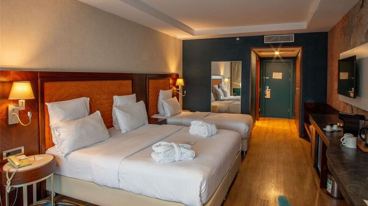 Mercure Istanbul Bakirkoy Room