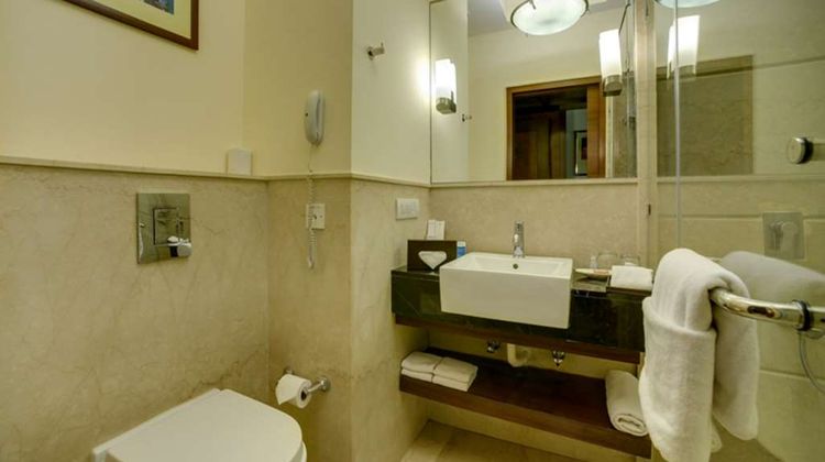 The Muse Sarovar Portico, New Delhi Room