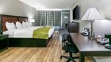 Rodeway Inn Room