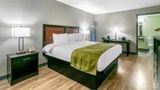 <b>Rodeway Inn Room</b>. Images powered by <a href="https://iceportal.shijigroup.com/" title="IcePortal" target="_blank">IcePortal</a>.