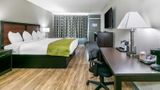 <b>Rodeway Inn Room</b>. Images powered by <a href="https://iceportal.shijigroup.com/" title="IcePortal" target="_blank">IcePortal</a>.