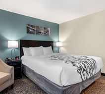 Sleep Inn Newberry-Crane Room